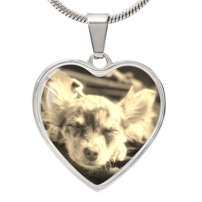 Custom Pet Heart Pendant Necklace