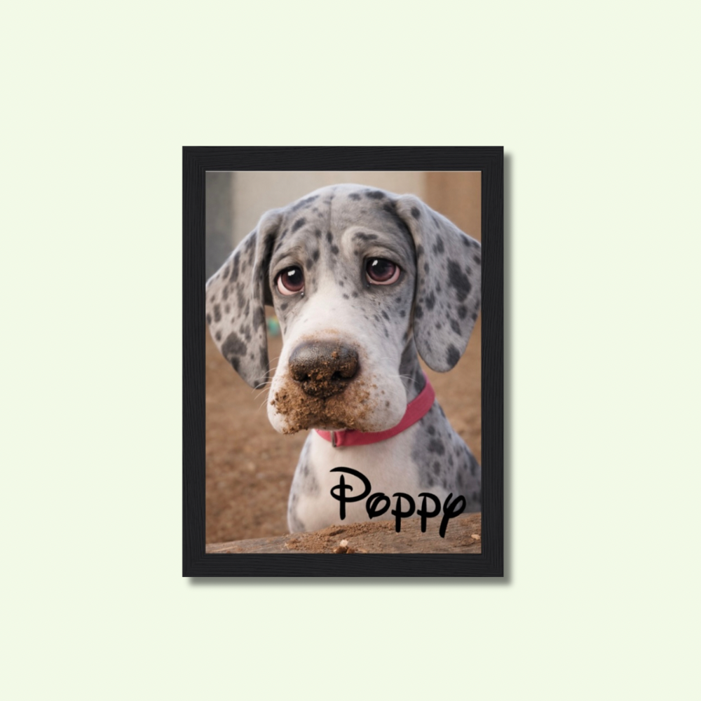 Custom Pet Portrait- Cartoon Your Pet