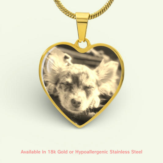 Custom Pet Heart Pendant Necklace